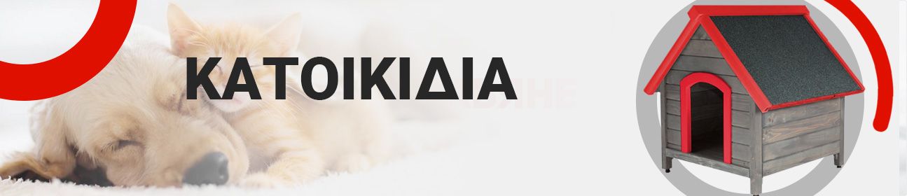 Κατοικίδια ζώα